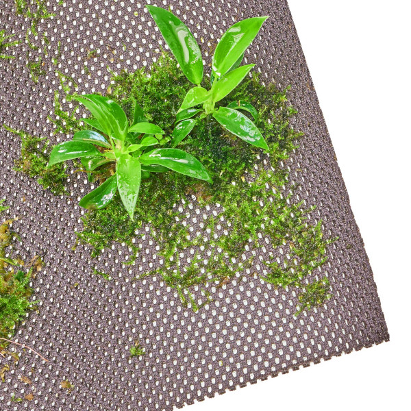 Hygrolon | Wasserspeicherung im Wabi-Kusa und Terrarium