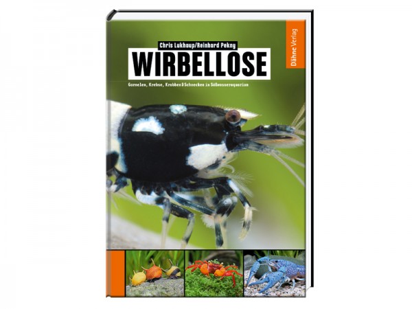 Wirbellose: Garnelen, Krebse, Krabben & Schnecken im Süßwasseraquarium